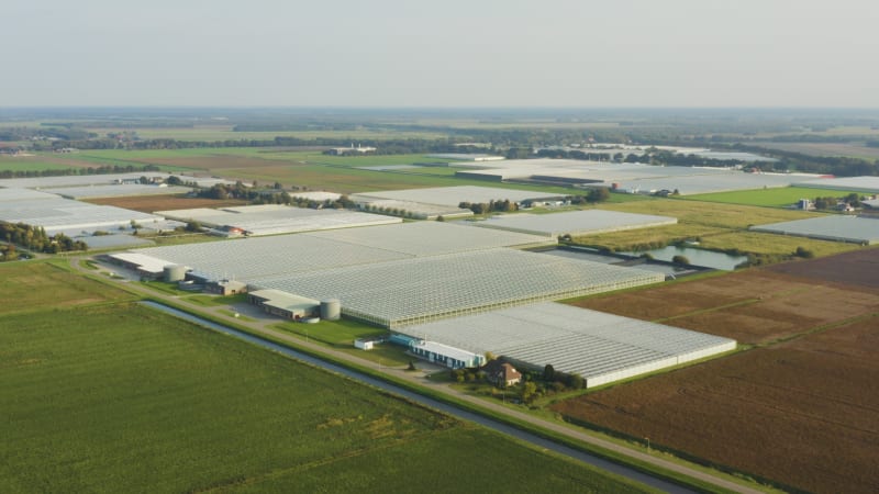 Fields filled with greenhouses