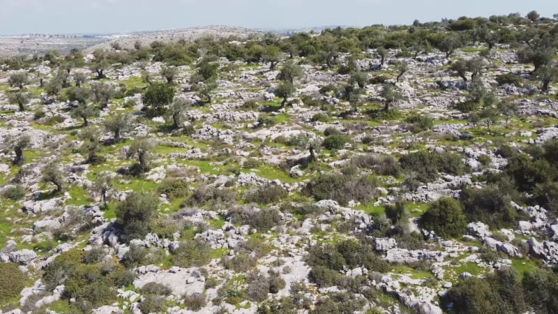 Aerial View of people admiring the landscape of the wooded hills and the paths.