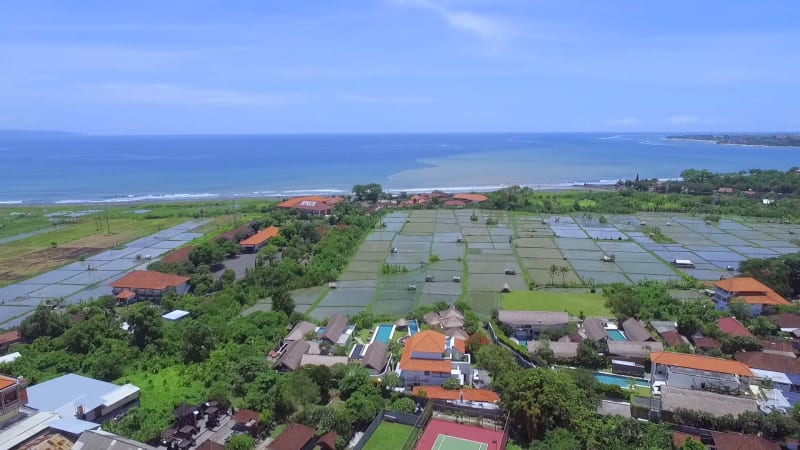 Aerial view of rice fields in the middle of a residential village.