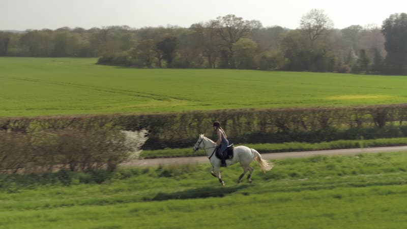 Horse Rider in the Countryside Trotting