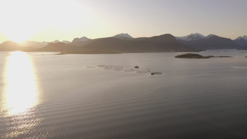 An Aquaculture Fish Farm in the Early Morning