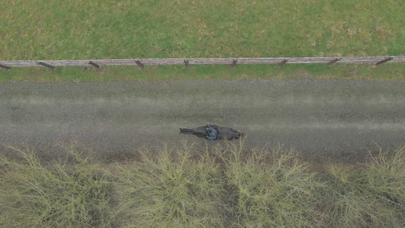 A Horse Rider on a Hack Alongside Woods and Paddocks Bird's Eye View