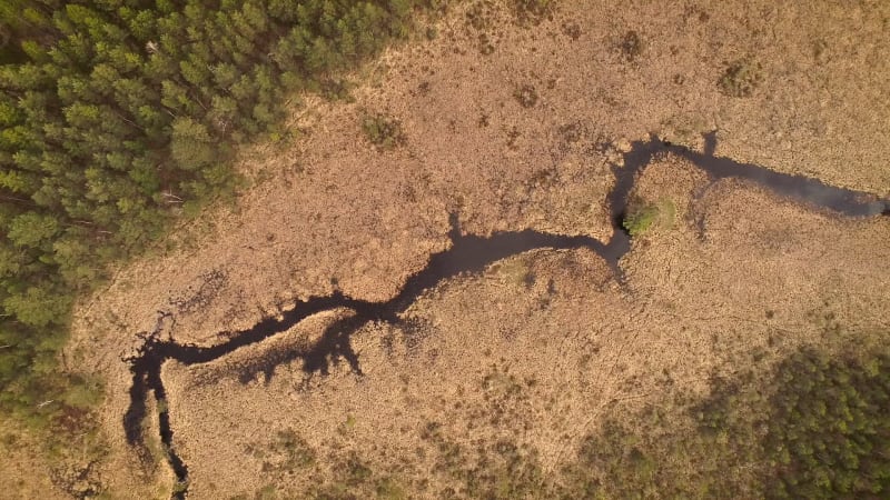 Aerial view of amazing surreal landscape around Valgejarv lake.