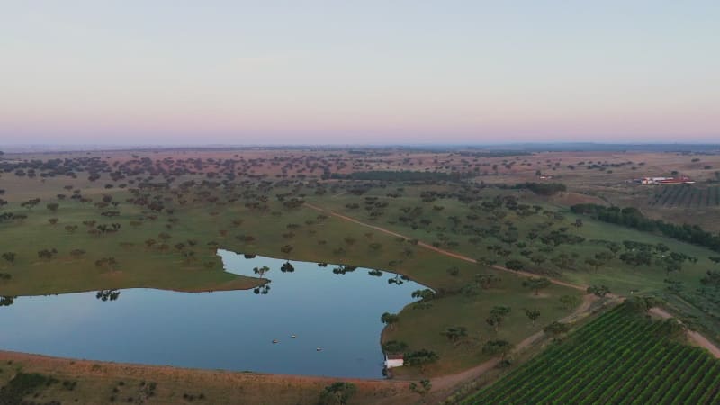 Aerial view of lake on vineyard estate.