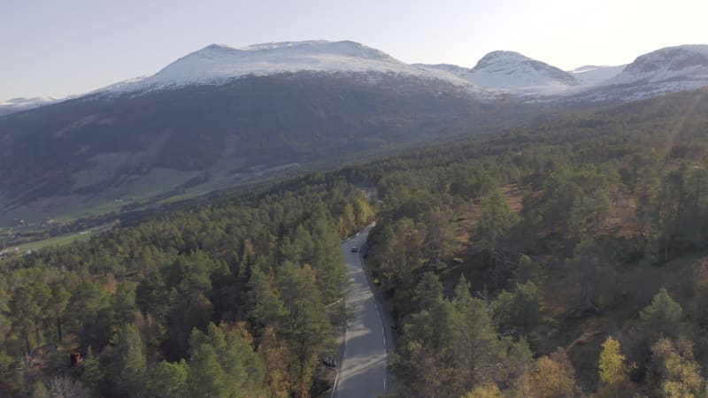 Cars Driving Through a Forest in the Fall