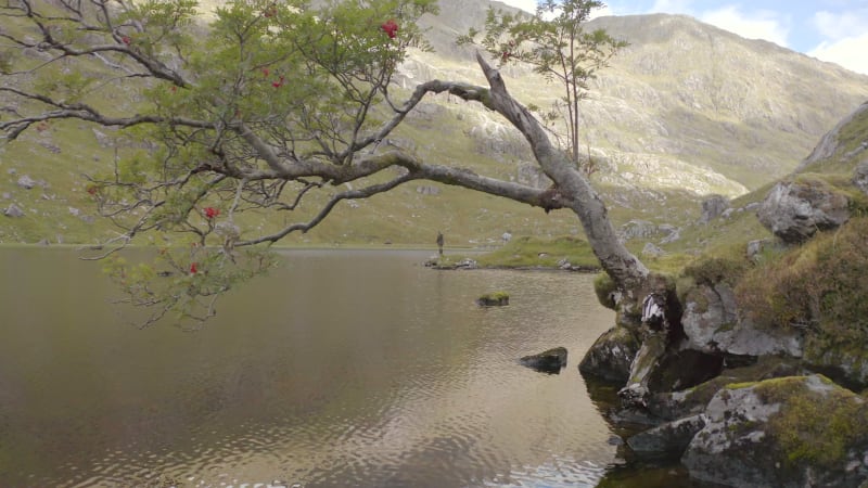 Fly Fishing in a Mountain Lake Surrounded By Beautiful Landscape