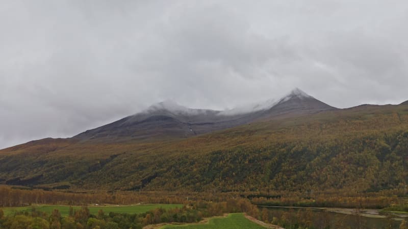 Norwegian forest and mountain range in fog.