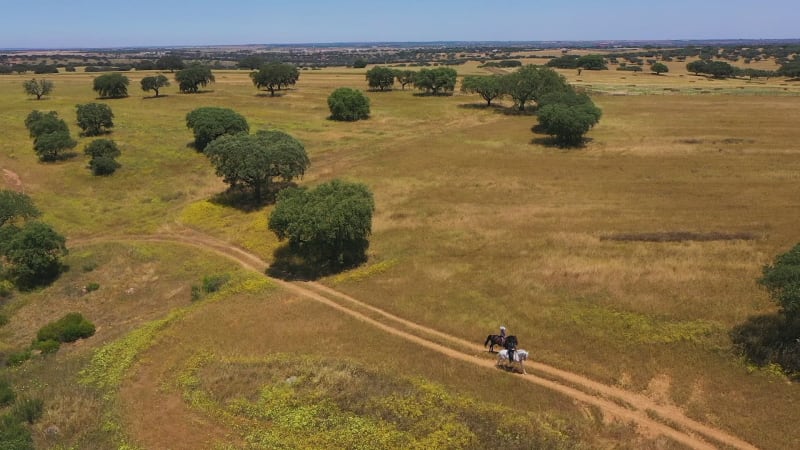 Aerial view of horse back riders on large ranch estate.