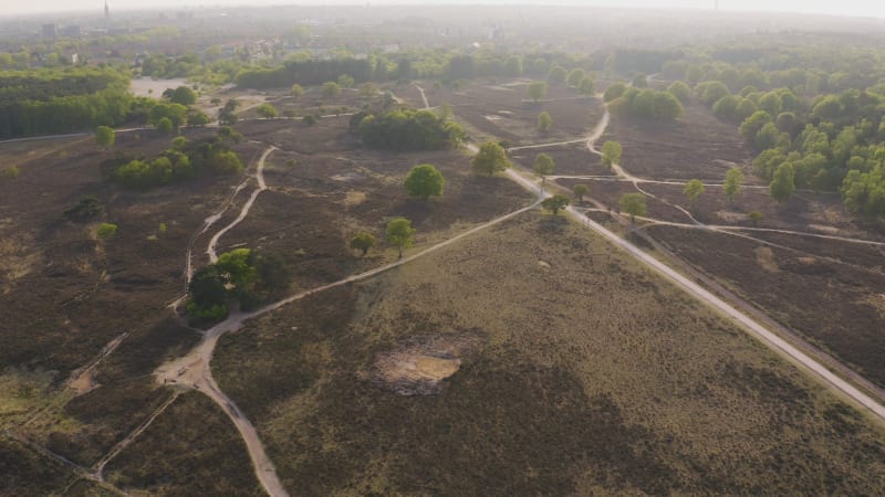 Aerial view of people walking and cycling through a park