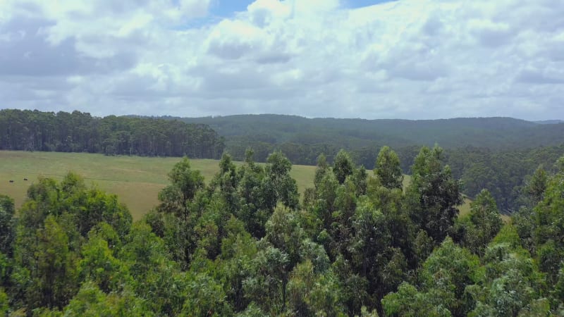 Australian Outback Farmland Aerial Flyover in the Summer