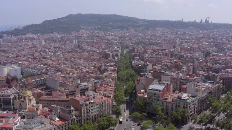 Grand Via in Barcelona a Treelined Street in the Bustling Gothic City