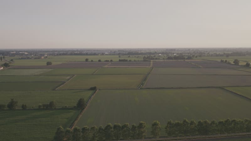 Aerial view of the rice fields in the Po Valley in Vigevano, Lombardy.