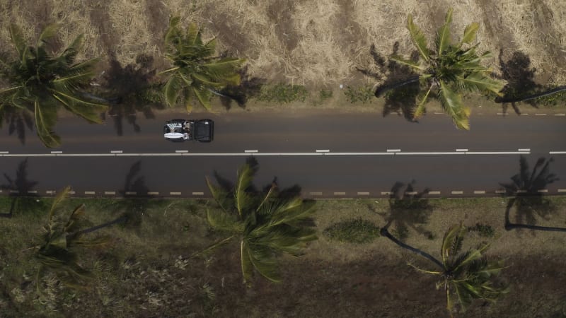 Aerial view of a car driving a road on the mountain with palm trees, Grand Port, Mauritius.