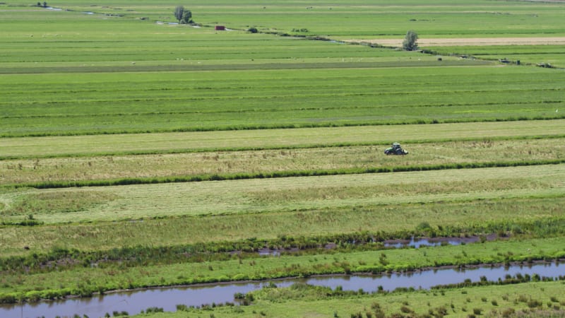 Agricultural Fields in Krimpenerwaard