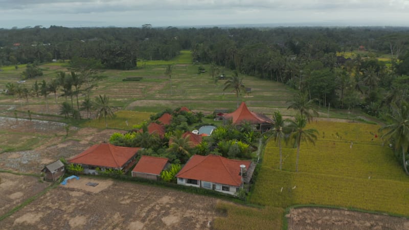 Dolly aerial shot of traditional Asian houses surrounded by terraced farming rice fields in Bali