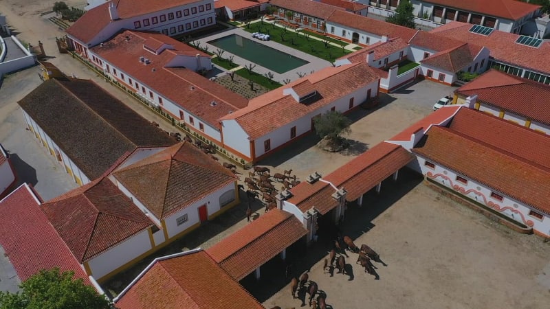 Aerial view of Coudelaria de Alter