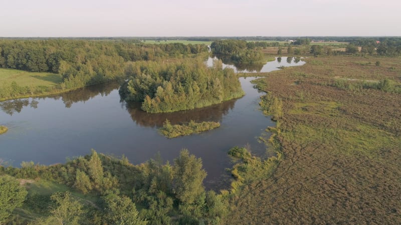 Aerial view of lake with small island full of trees.