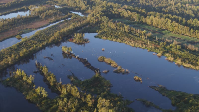 Dutch River Delta: Intersection of Natural and Agricultural Landscapes