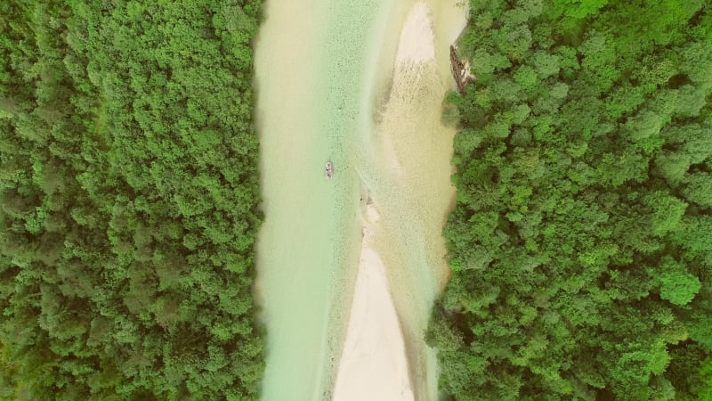 Aerial view of adventurers doing rafting surrounded by a big green forest.