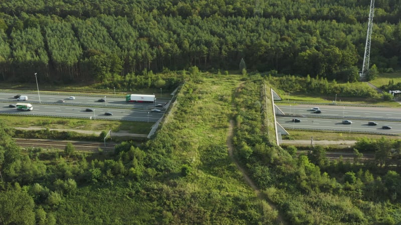 Cars and trains passing under the eco animal bridge in the Netherlands