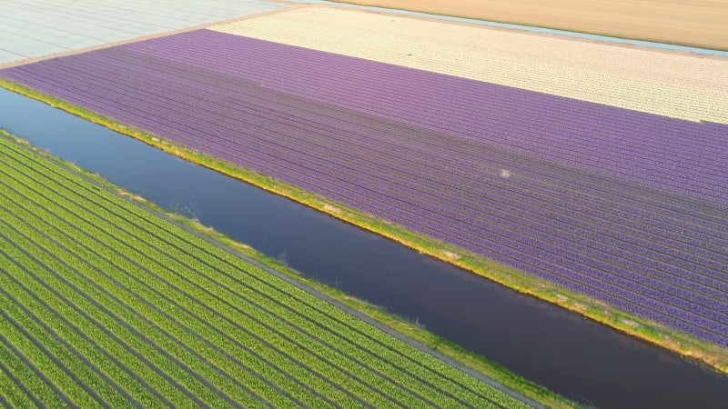 Aerial view of The Garden of Europe at Keukenhof botanical garden.