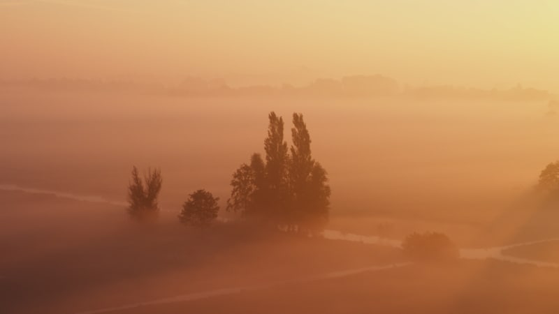 Foggy Morning in Krimpenerwaard, Netherlands