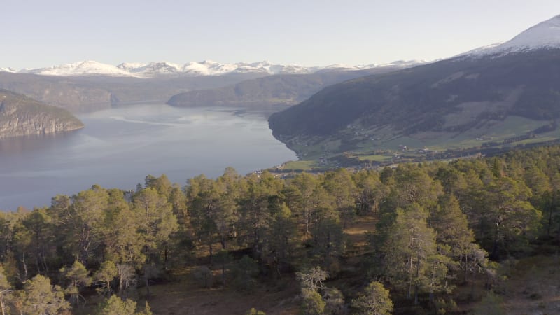 Norwegian Landscape View with Forests and Fjord