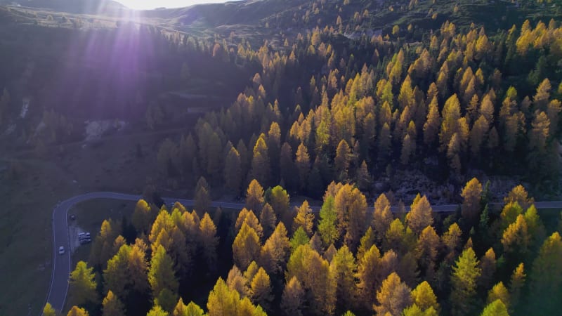 Aerial View of winding road and autumn trees in the Dolomites, Cortina, Italy.