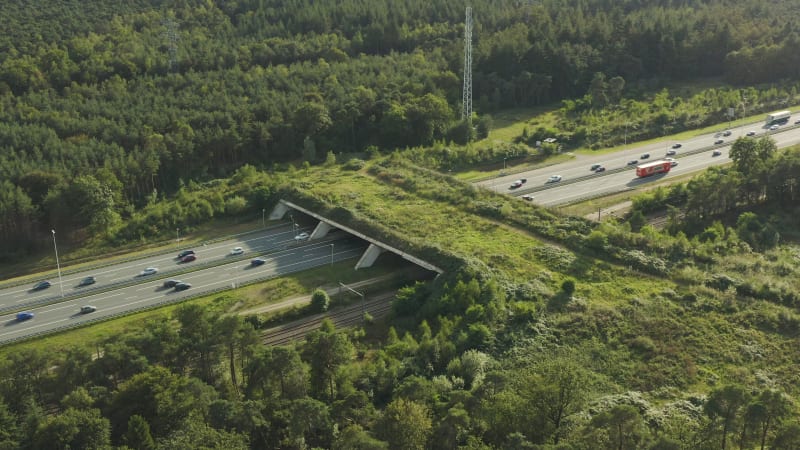 Establishing shot of an ecoduct wildlife bridge