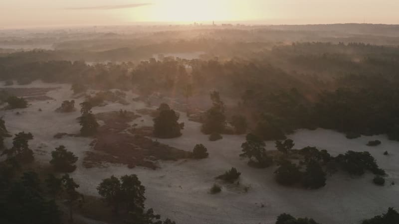 Aerial view of a foggy early morning at nature reserve, Soesterduinen