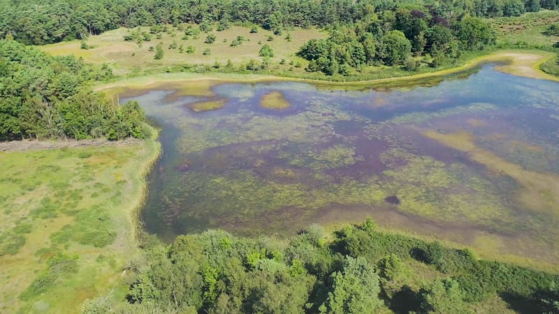 Aerial view of partly dried out lake, Buurserzand, Overijssel, Netherlands.