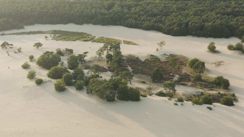 Soesterduinen dunes in the Netherlands