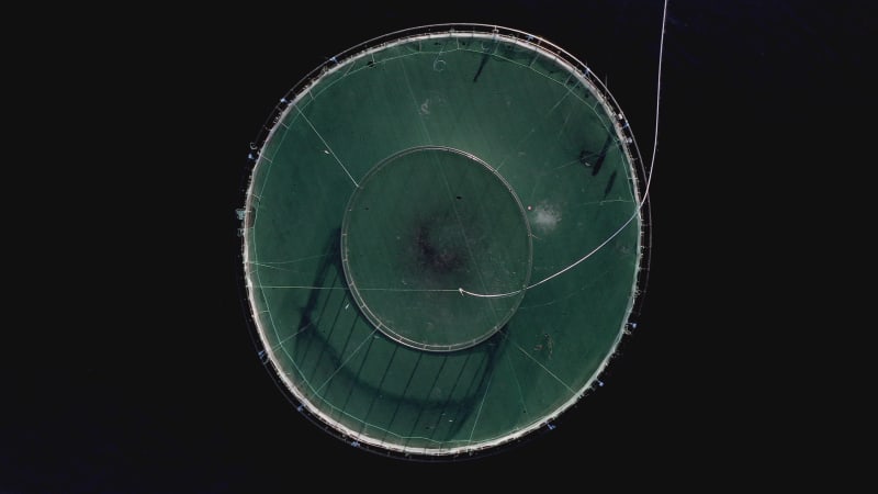 Bird's Eye View of an Aquaculture Fish Farm