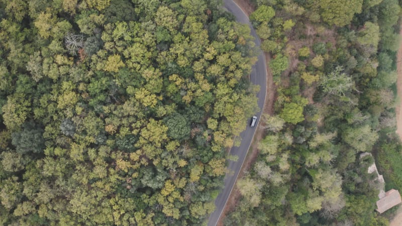 Aerial view of a car driving between green forest. Italy.