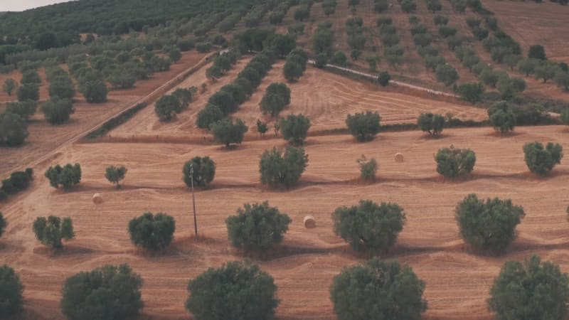 Rural Italian countryside outside Rome, Italy. Aerial drone view