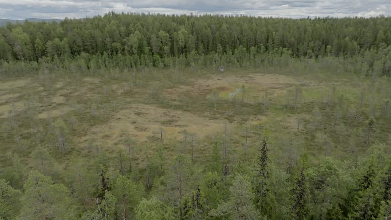 Aerial view of a deforested woodland in Soukolojarvi, Westland, Sweden.