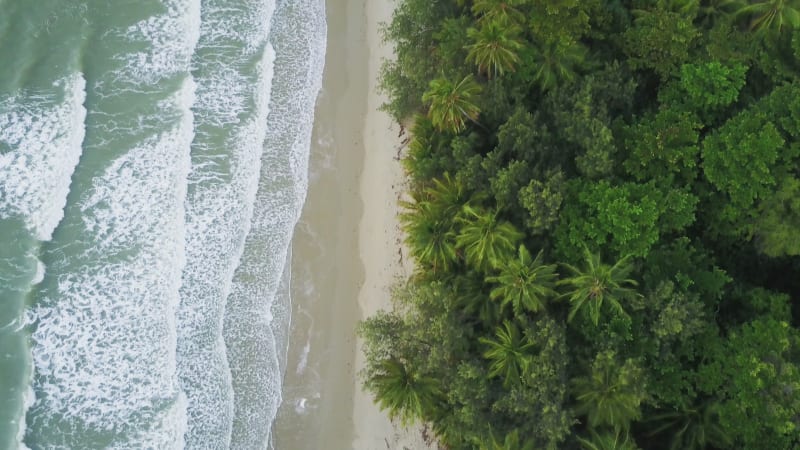 Top view of ocean waves reaching shore on sunny day in the Jungle Beach of Port Douglas, Australia