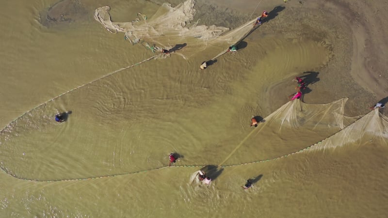 Aerial view of people using large fishing nets along the shoreline on the river, Bangladesh.
