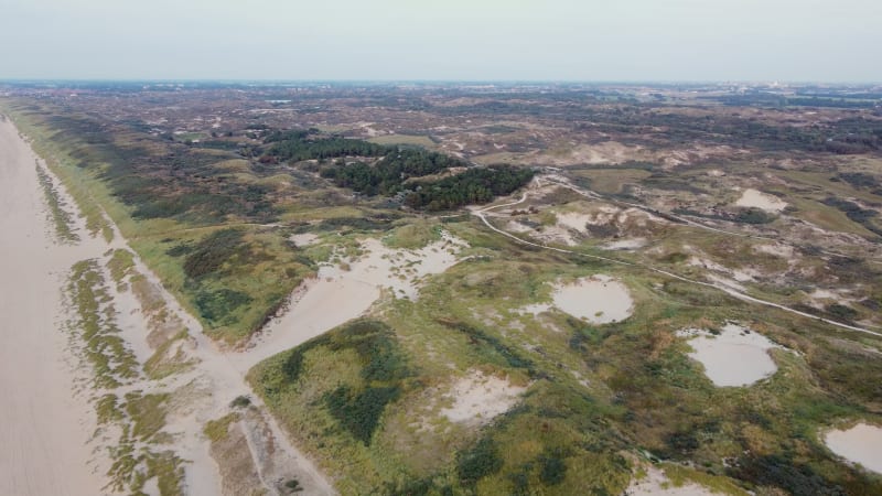 Aerial view of dunes and North Sea, Hollands Duin, Wassenaar, Netherlands