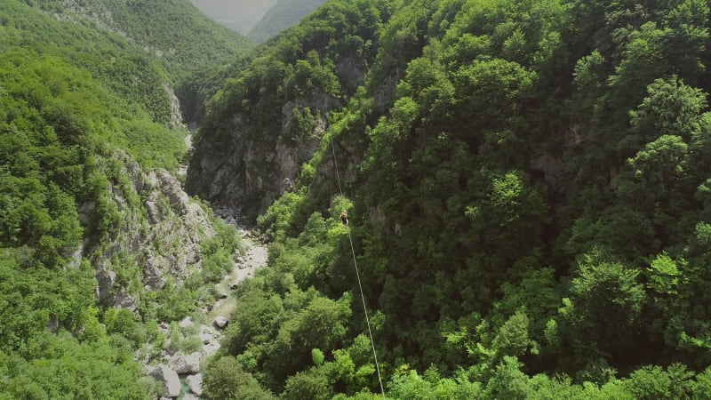 Aerial view of couple canopying over the forest in zip-line.