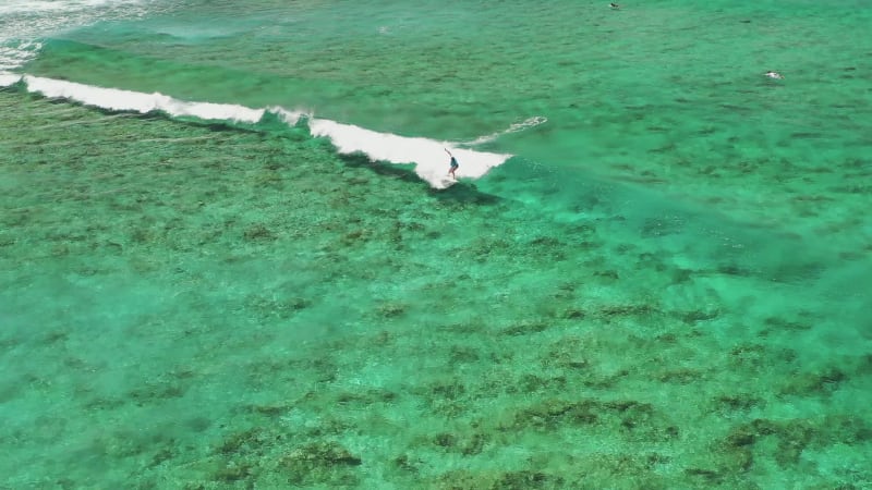 Aerial view of surfers at Baa Atoll, Maldives