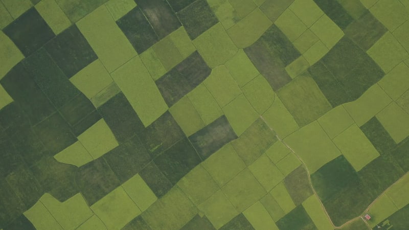 Aerial View of Cultivated field, Shibchar, Dhaka, Bangladesh.