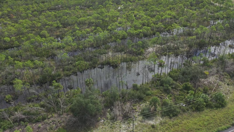 Aerial view of a flooded area in Mexico Beach, Florida, United States.