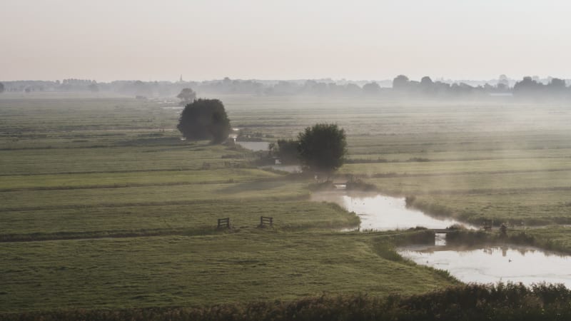 Agricultural Fields in Krimpenerwaard