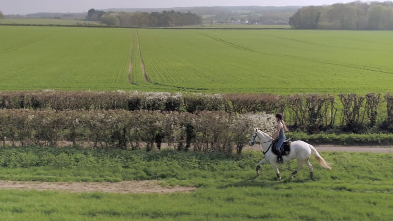 Horse Rider in the Countryside Trotting