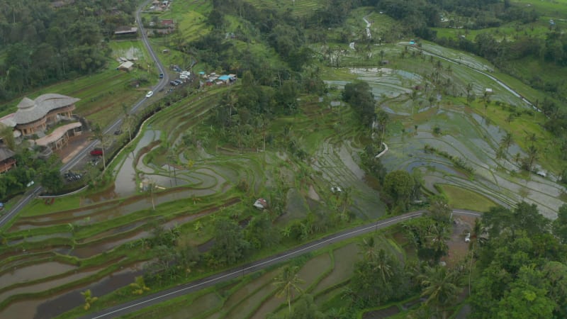 Cars driving on the rural road through Bali countryside with irrigated rice fields. Aerial view of wet farm fields in Indonesia