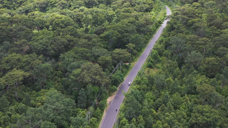 Aerial view of a road crossing the Reserve forest, Cox’s Bazar, Bangladesh.