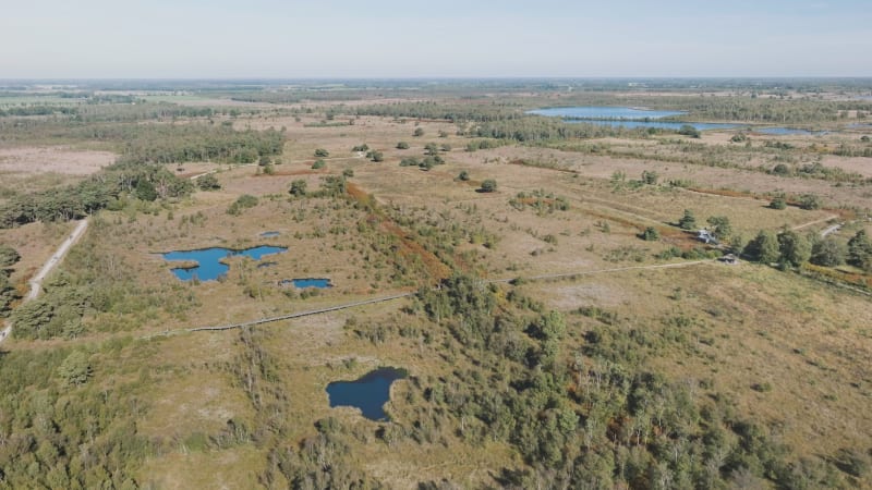 Aerial view of lakes and walking path in national park Groote Peel, Netherlands