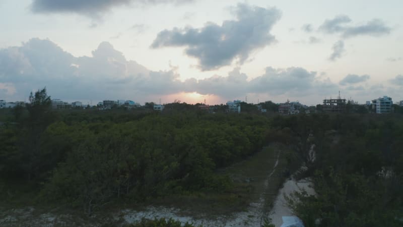 Aerial view of multistory buildings and thick forest. Drone flying backwards revealing the sea and the sandy beach on the coastline