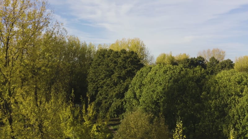 Aerial Reveal of Hoograven in Utrecht, the Netherlands